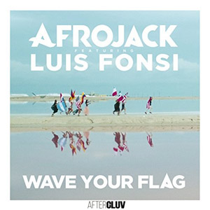 Disco Wave Your Flag de Afrojack
