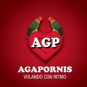 Disco Volando Con Ritmo de Agapornis