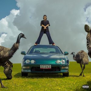 Disco Stella & Steve de BENEE