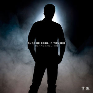 Disco Sure Be Cool If You Did de Blake Shelton