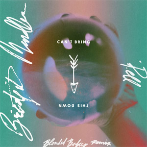 Disco Can't Bring This Down  (Blended Babies Remix) de Bridgit Mendler