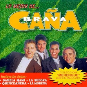 Disco Éxitos Enganchados de Caña Brava