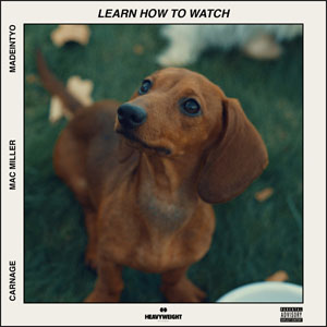 Disco Learn How to Watch  de Carnage