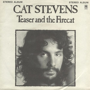 Disco Teaser And The Firecat de Cat Stevens