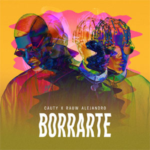 Disco Borrarte de Cauty