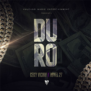 Disco Duro de Ceky Viciny