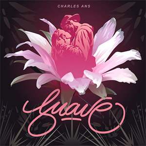 Disco Suave de Charles Ans