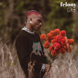 Disco Felony de CKay
