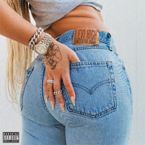 Disco Levi High de DaniLeigh