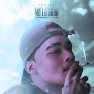 Disco No Lo Duda de David Rone