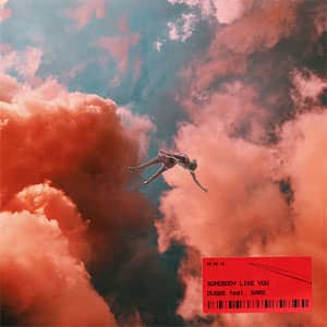 Disco Somebody Like You de DVBBS