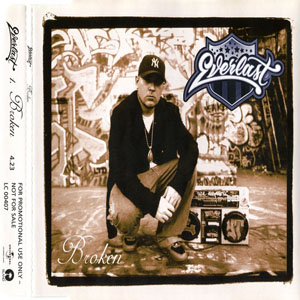 Disco Broken de Everlast