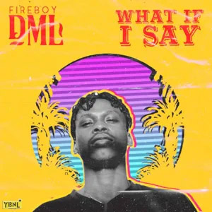 Disco What If I Say de Fireboy DML