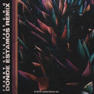 Disco Dónde Estamos (Remix) de Franky Style