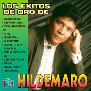 Disco Los Éxitos De Oro De Hildemaro de Hildemaro
