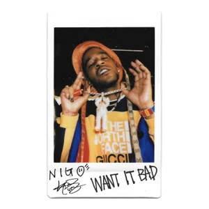 Disco Want It Bad de Kid Cudi