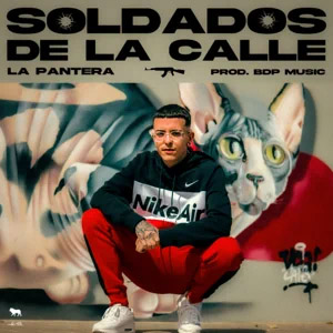 Disco Soldados De La Calle de La Pantera