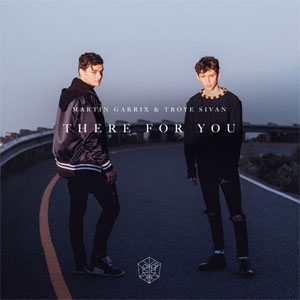 Disco There For You de Martin Garrix