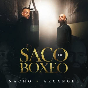 Disco Saco De Boxeo de Nacho