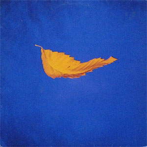 Disco True Faith de New Order