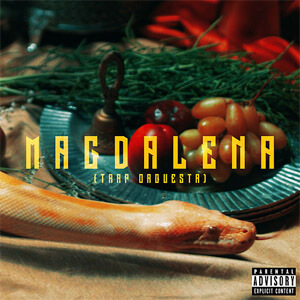 Disco Magdalena de Niña Dioz