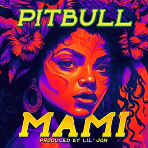 Disco Mami de Pitbull