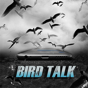 Disco Bird Talk de Project Pat