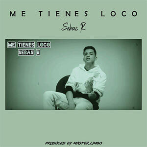 Disco Me Tienes Loco de Sebas R