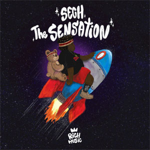 Disco The Sensation  de Sech