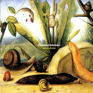 Disco Great Divide de Semisonic