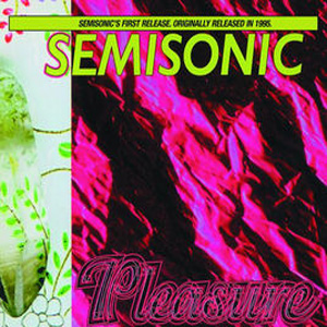 Disco Pleasure de Semisonic