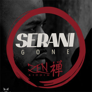 Disco Gone de Serani