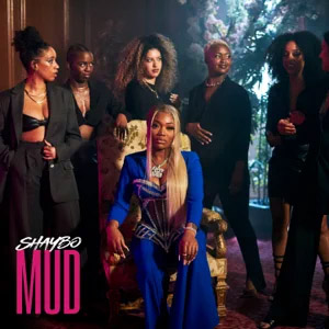 Disco Mud  de Shaybo