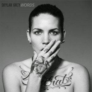 Disco Words  de Skylar Grey