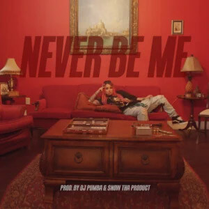 Disco Never Be Me de Snow Tha Product