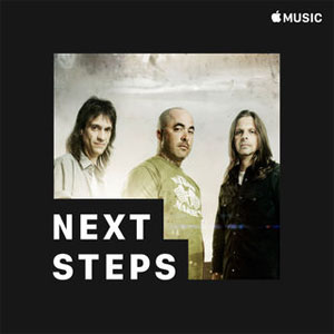 Disco Next Steps de Staind