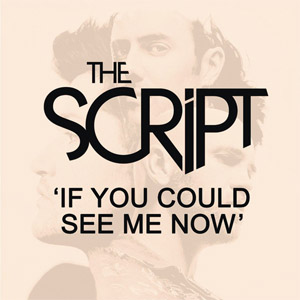 Disco If You Could See Me Now de The Script