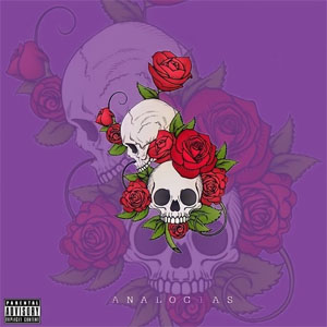 Disco Analogías de TheRex