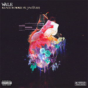 Disco Black Bonnie de Wale