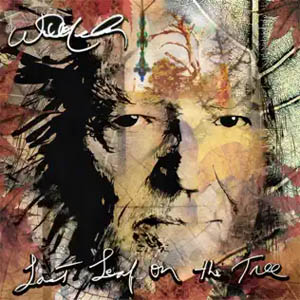 Disco Last Leaf On The Tree de Willie Nelson
